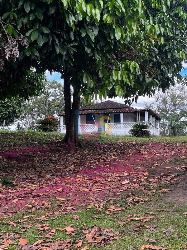 Fazenda - Foto 11