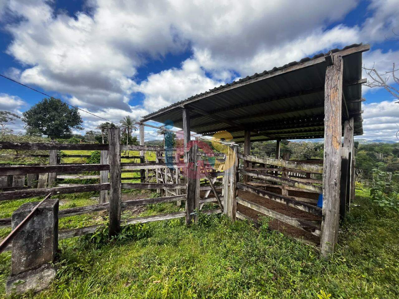 Fazenda - Foto 32