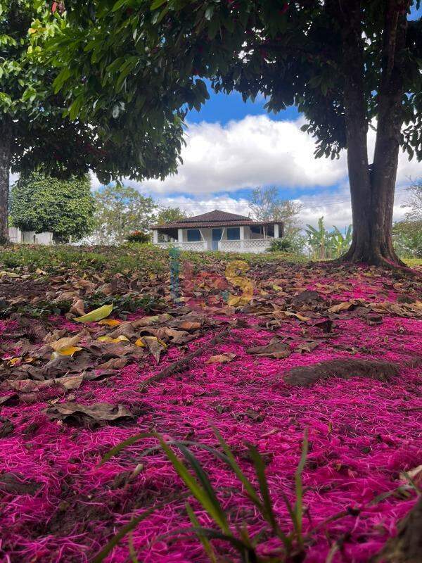 Fazenda - Foto 1