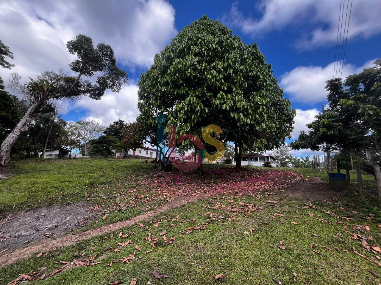 Fazenda - Foto 12