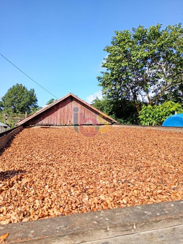 Fazenda - Foto 26