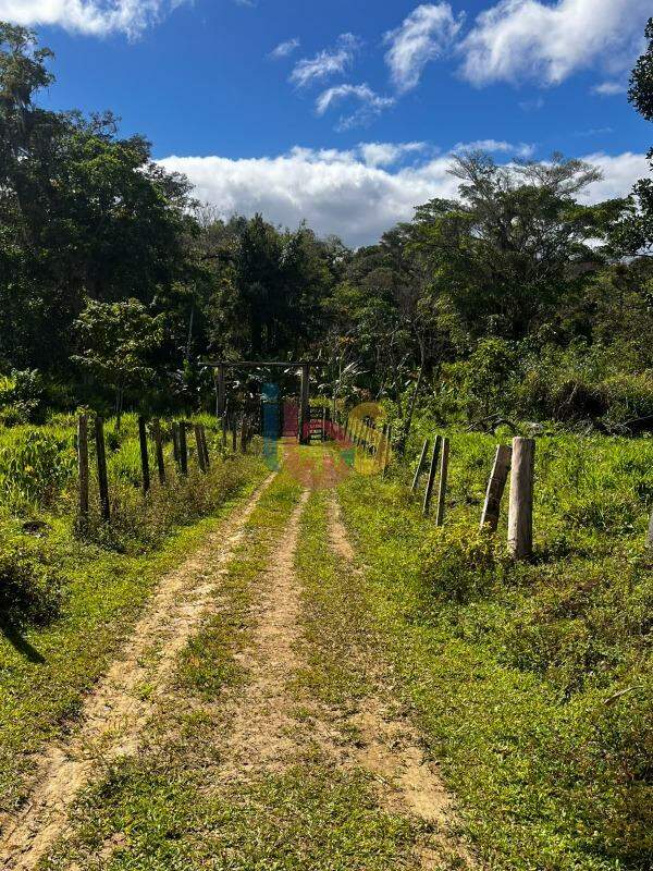 Fazenda - Foto 8