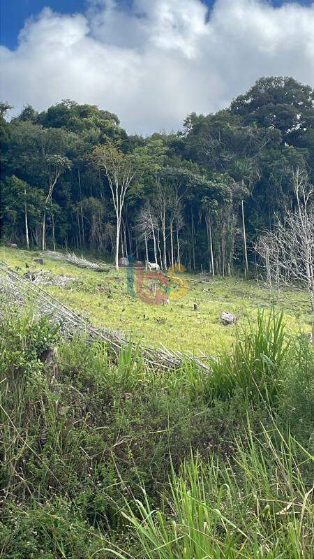 Fazenda - Foto 7
