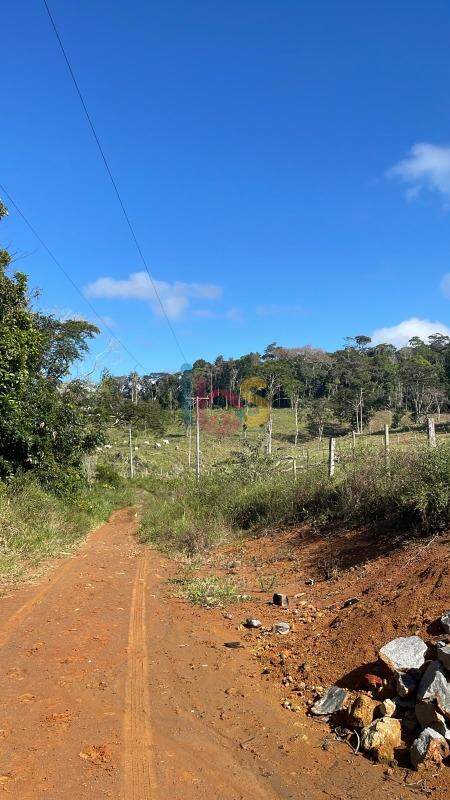 Fazenda - Foto 6
