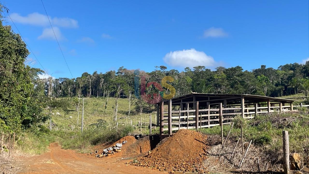 Fazenda - Foto 5