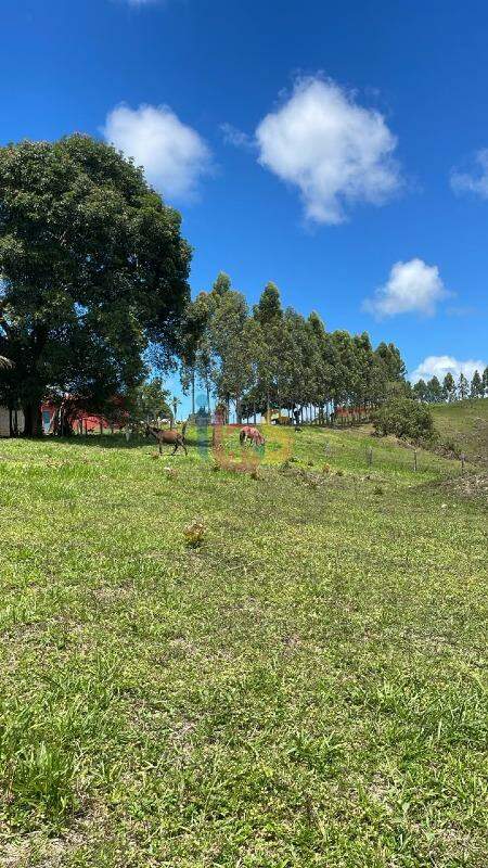 Fazenda - Foto 10