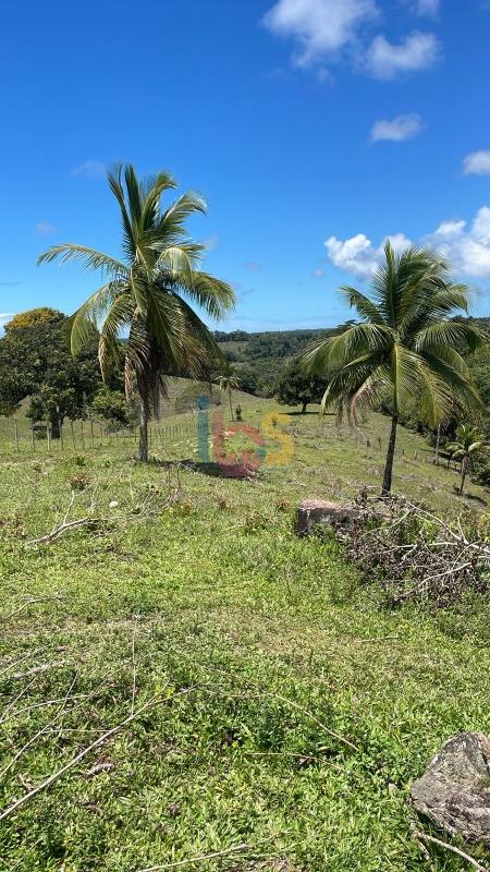 Fazenda - Foto 13