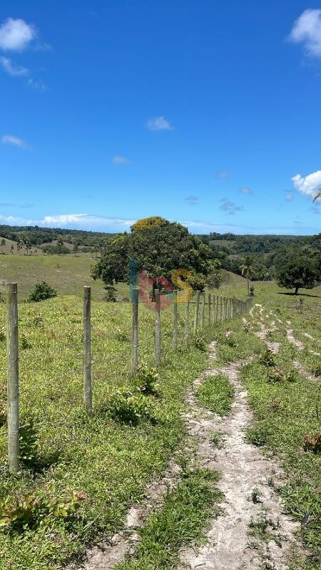 Fazenda - Foto 7
