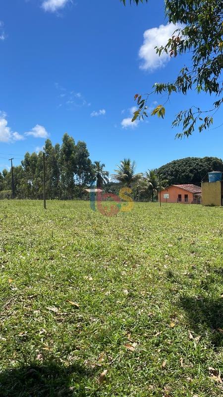 Fazenda - Foto 12