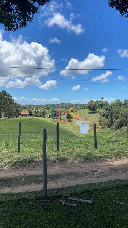 Fazenda - Foto 11