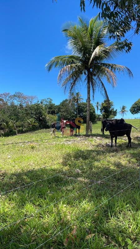 Fazenda - Foto 9