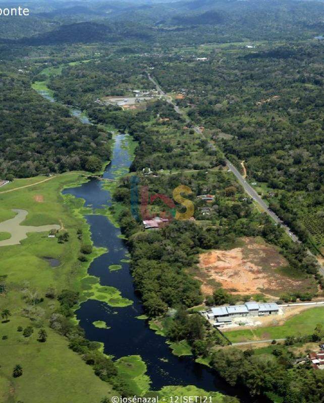 Terreno à venda, 10000m² - Foto 4