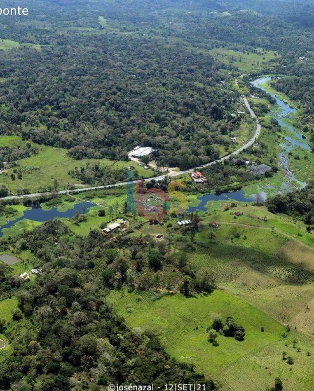 Terreno à venda, 10000m² - Foto 3