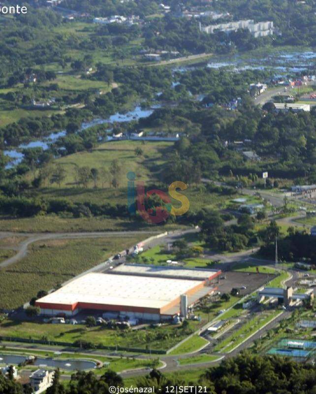 Terreno à venda, 10000m² - Foto 5