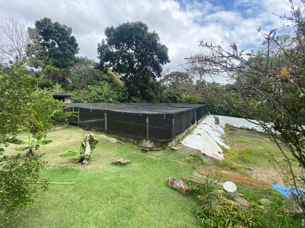 Fazenda à venda com 4 quartos, 2784m² - Foto 4