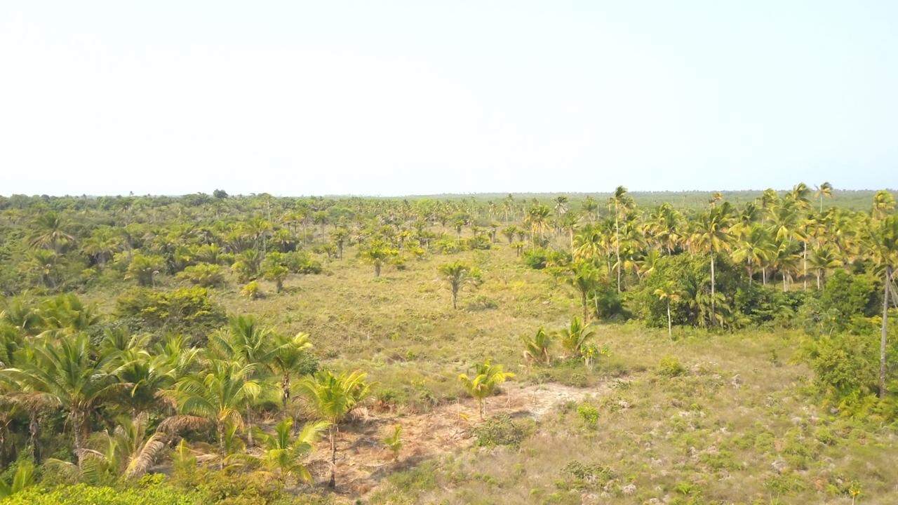 Fazenda à venda com 2 quartos - Foto 7