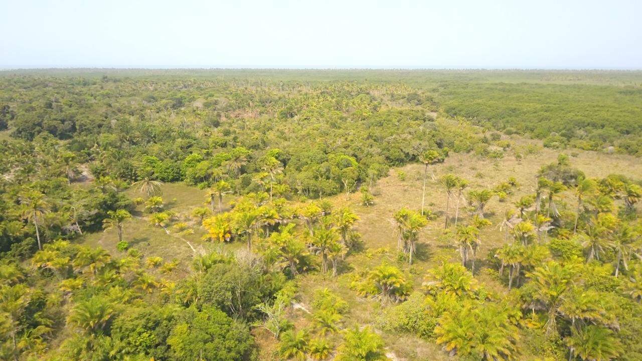 Fazenda à venda com 2 quartos - Foto 8