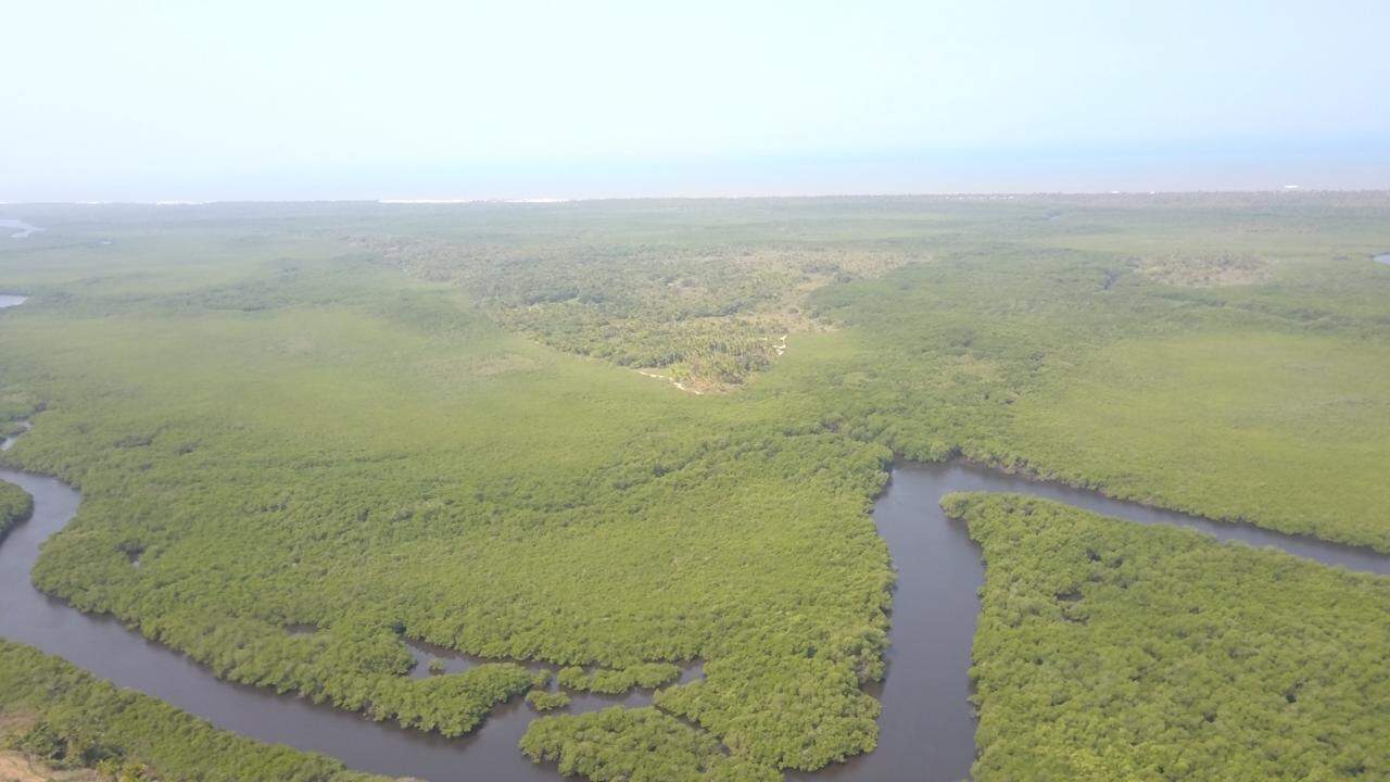 Fazenda à venda com 2 quartos - Foto 9