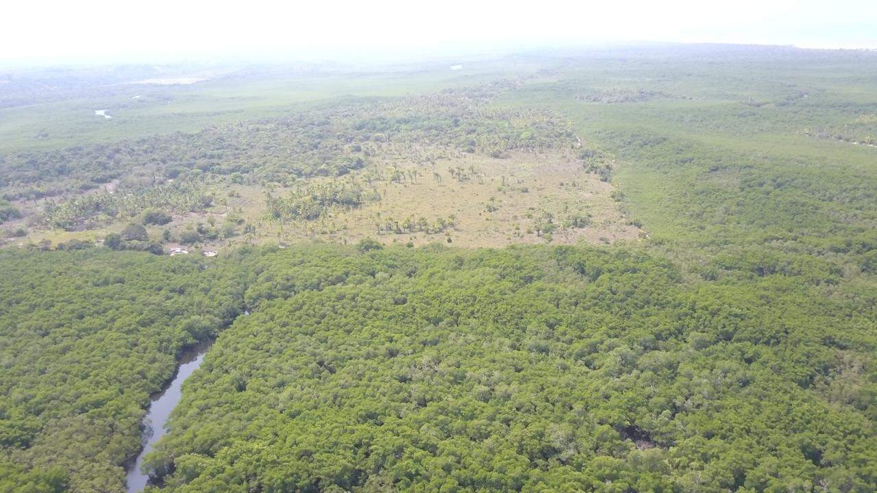 Fazenda à venda com 2 quartos - Foto 11