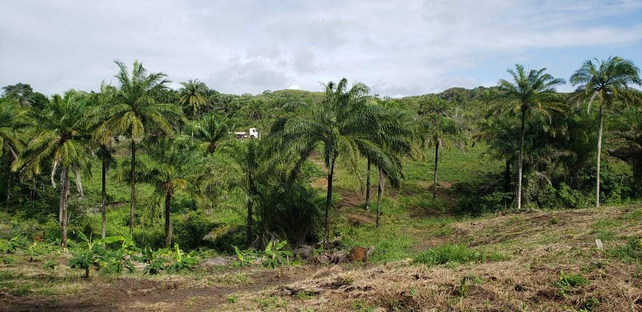 Fazenda à venda com 4 quartos, 56m² - Foto 8