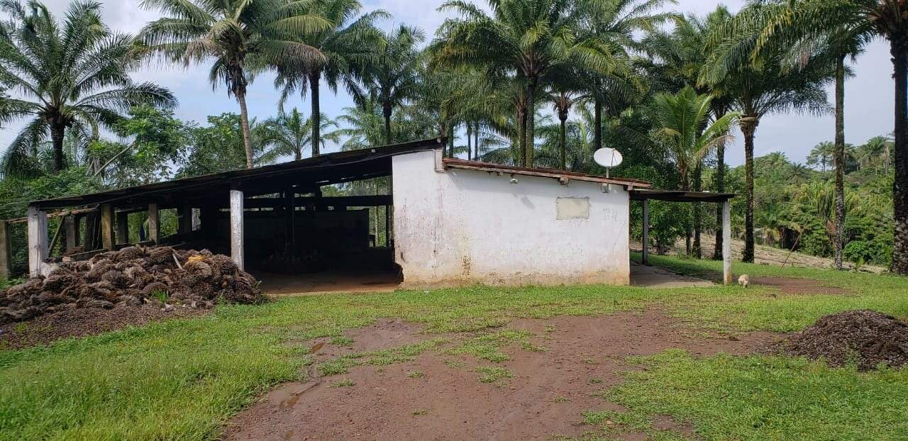 Fazenda à venda com 4 quartos, 56m² - Foto 3