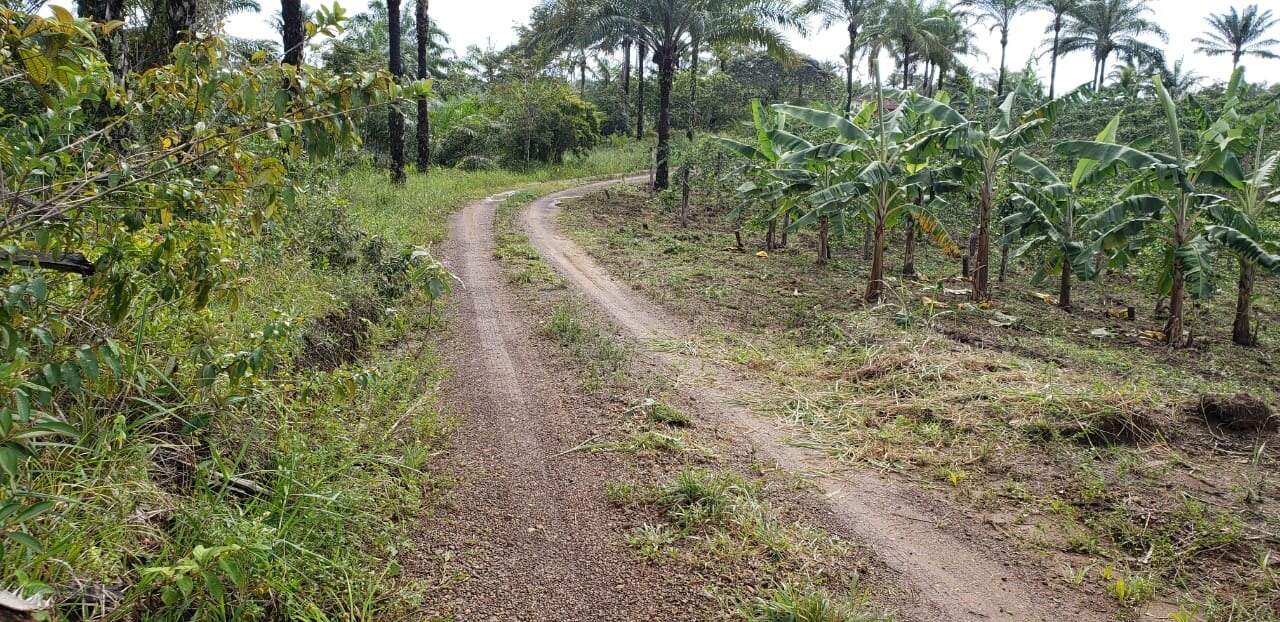 Fazenda à venda com 4 quartos, 56m² - Foto 4