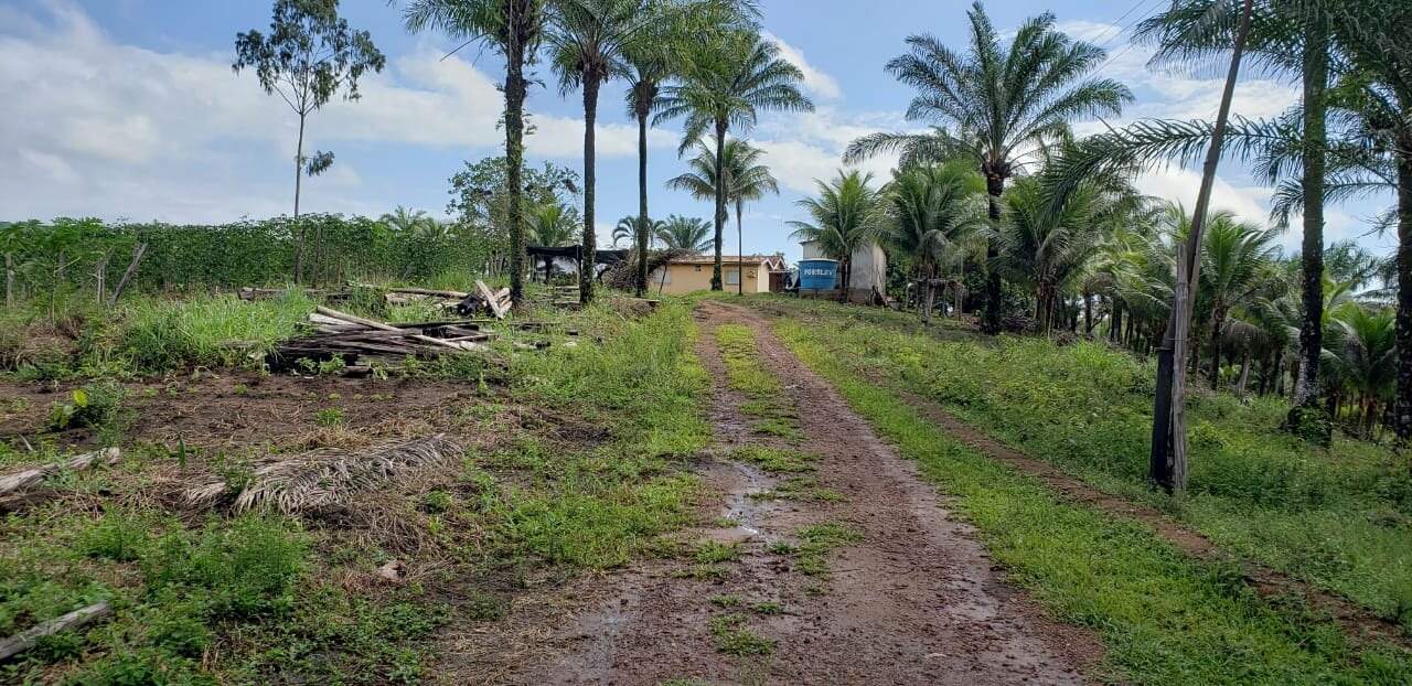 Fazenda à venda com 4 quartos, 56m² - Foto 7