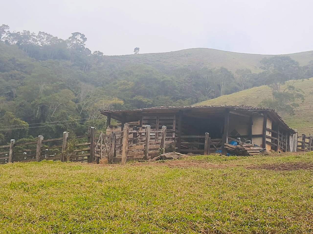 Fazenda à venda com 6 quartos, 6000000m² - Foto 11