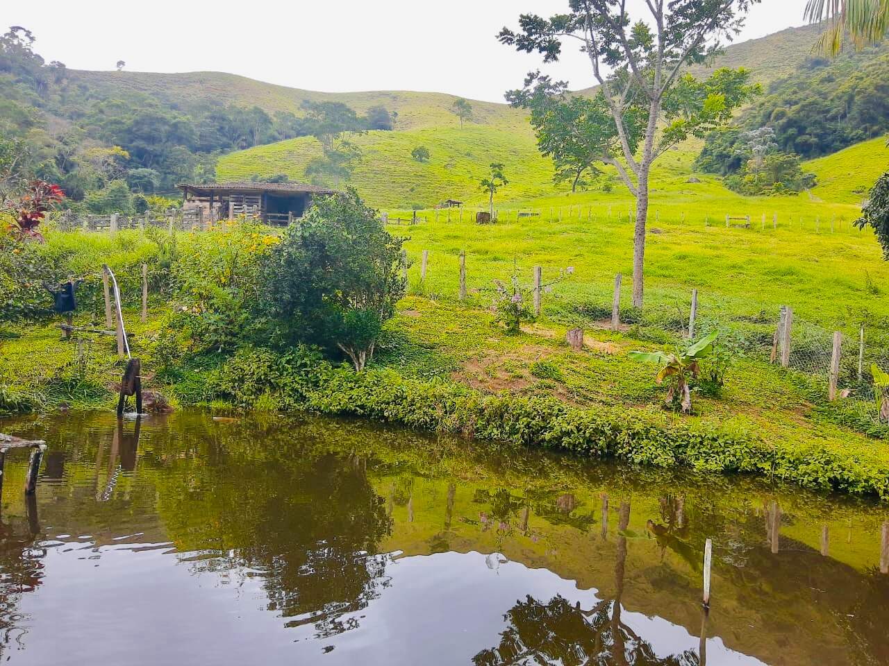 Fazenda à venda com 6 quartos, 6000000m² - Foto 5