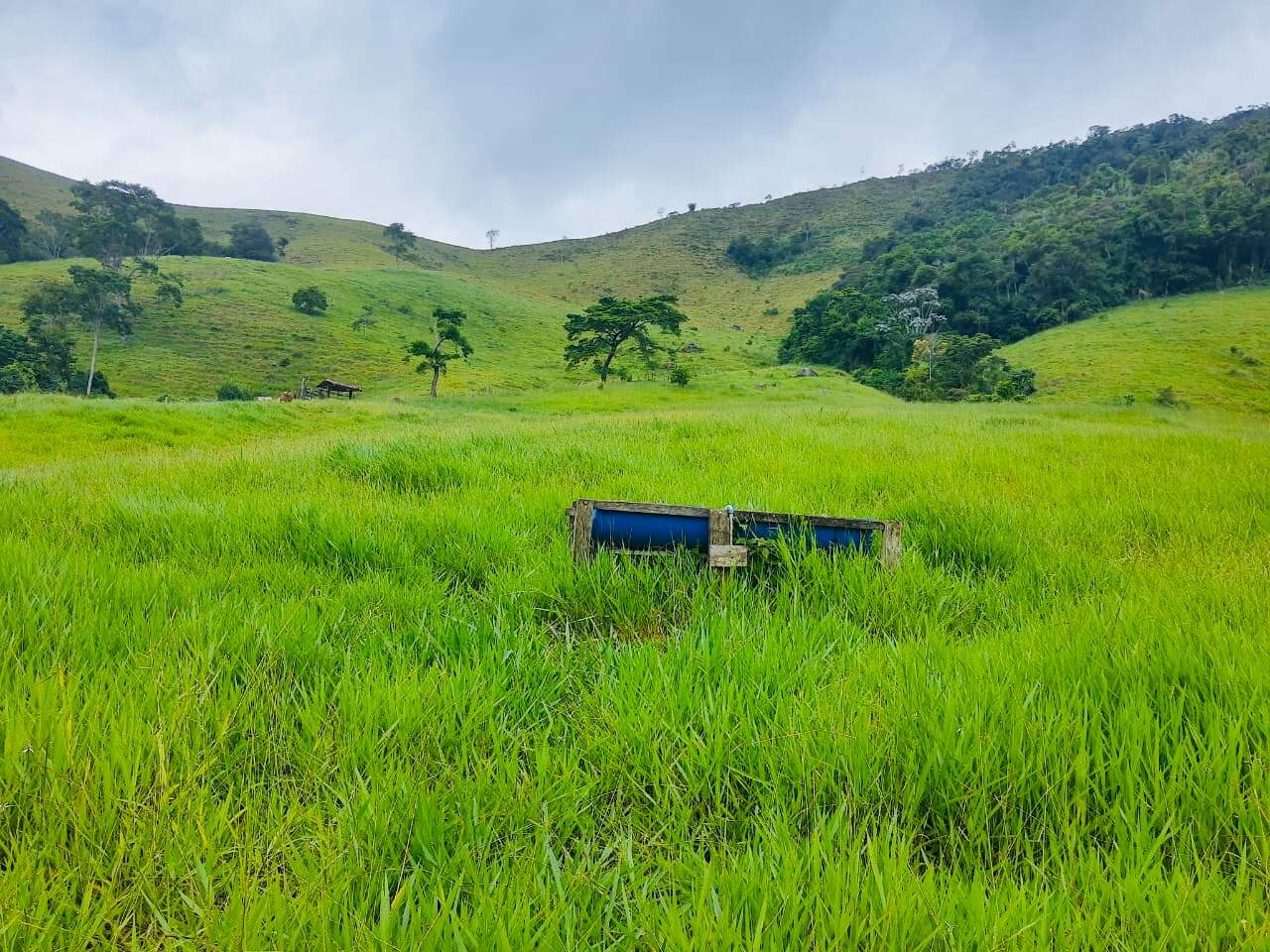 Fazenda à venda com 6 quartos, 6000000m² - Foto 18