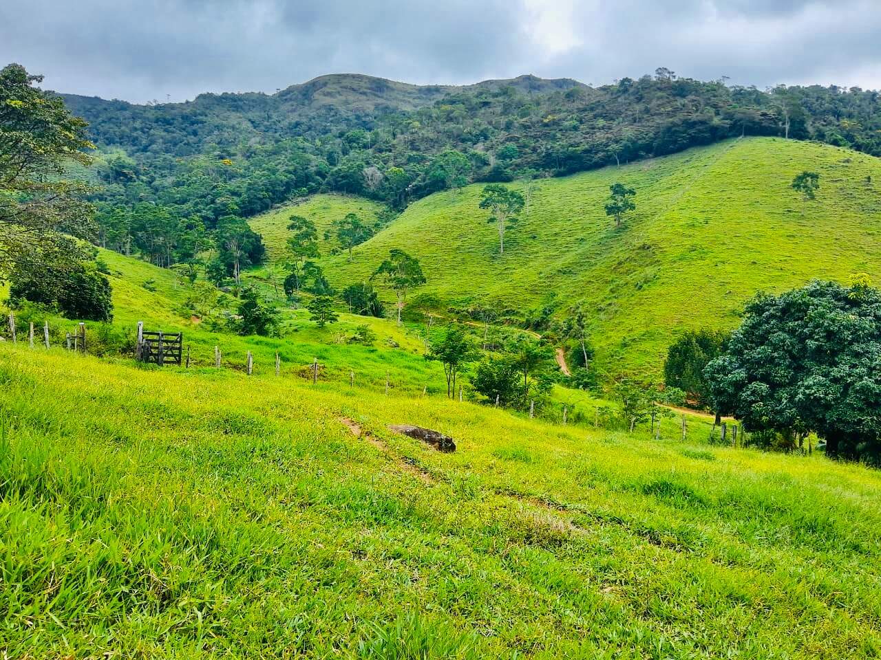 Fazenda à venda com 6 quartos, 6000000m² - Foto 9