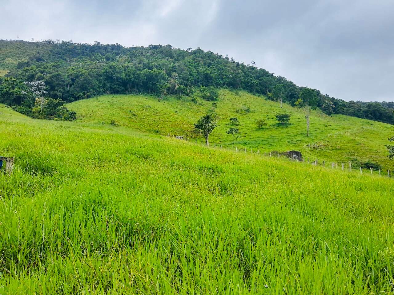 Fazenda à venda com 6 quartos, 6000000m² - Foto 8