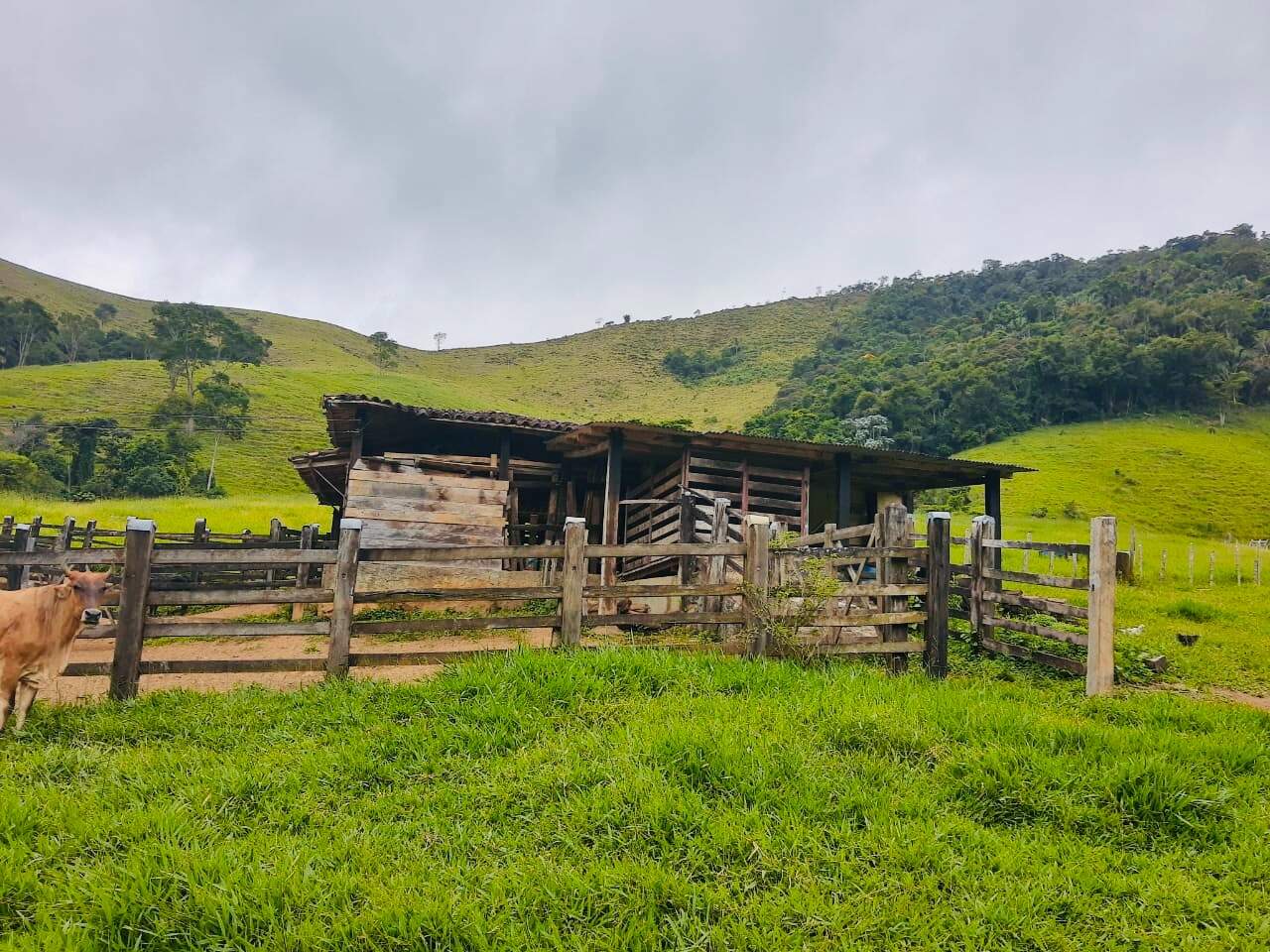 Fazenda à venda com 6 quartos, 6000000m² - Foto 16