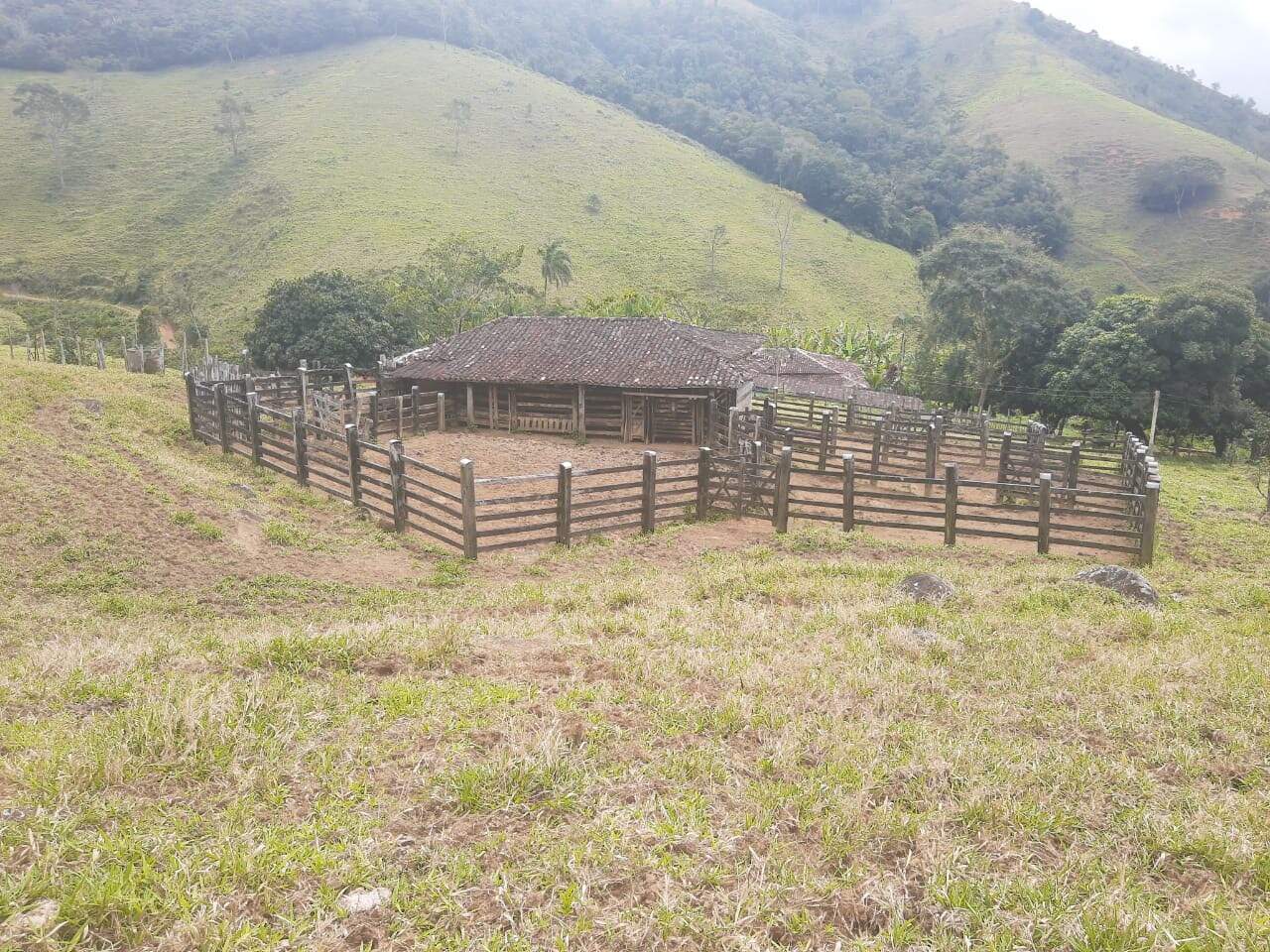 Fazenda à venda com 6 quartos, 6000000m² - Foto 10