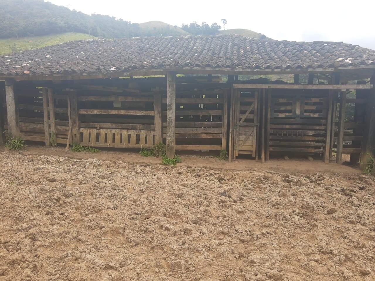 Fazenda à venda com 6 quartos, 6000000m² - Foto 14