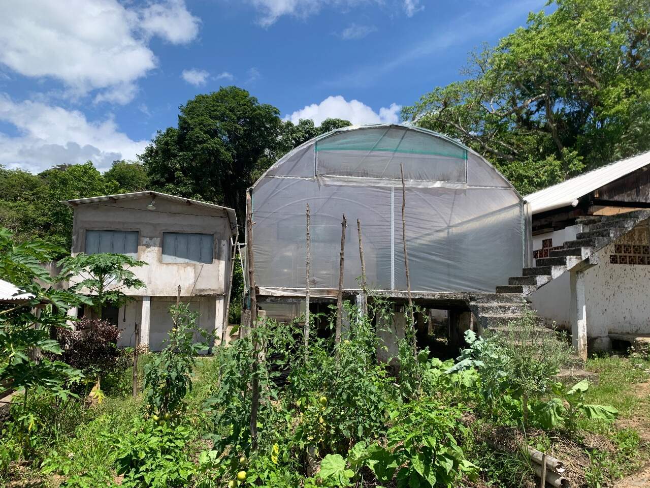 Fazenda à venda com 2 quartos - Foto 6