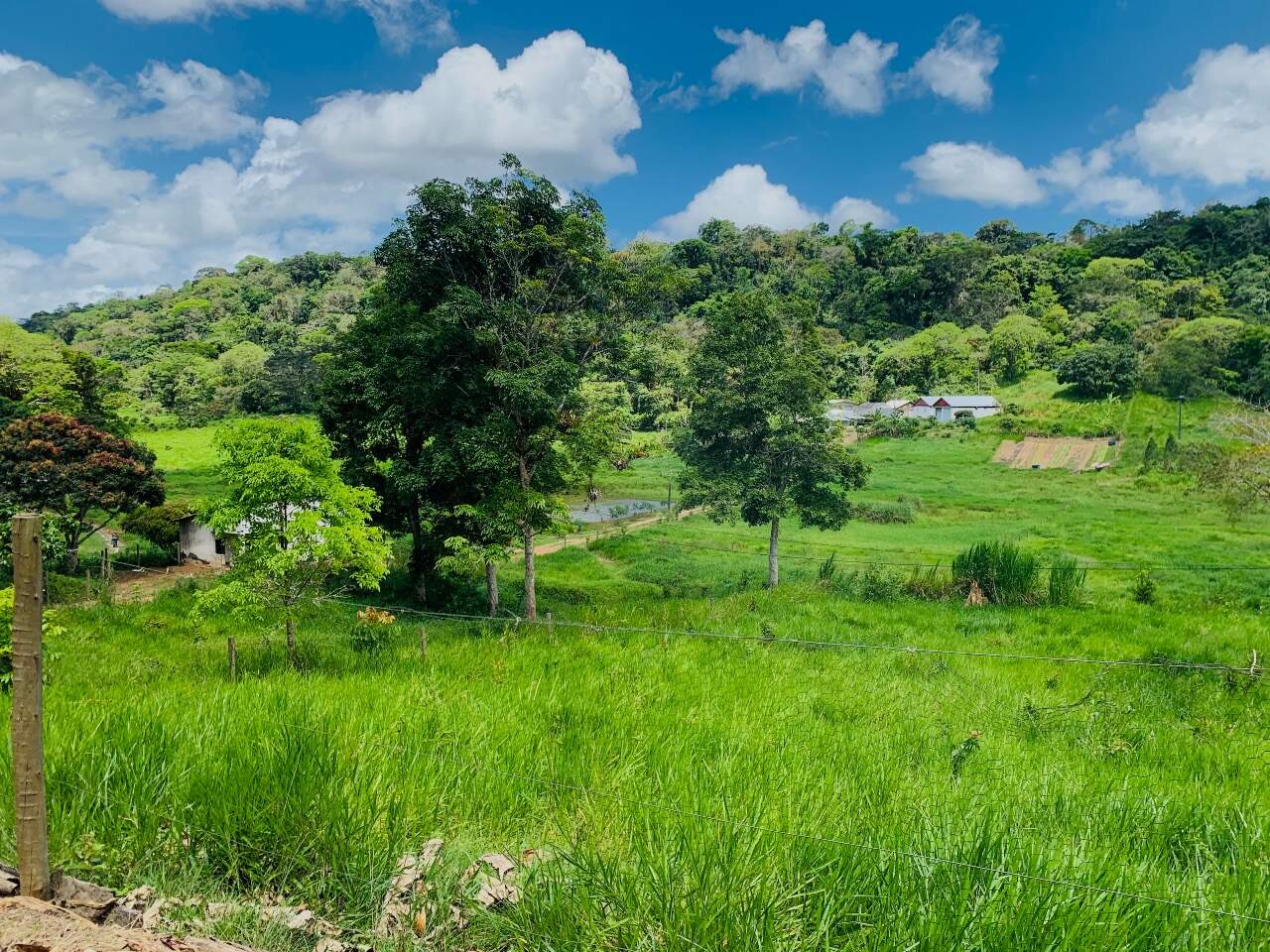 Fazenda à venda com 2 quartos - Foto 19