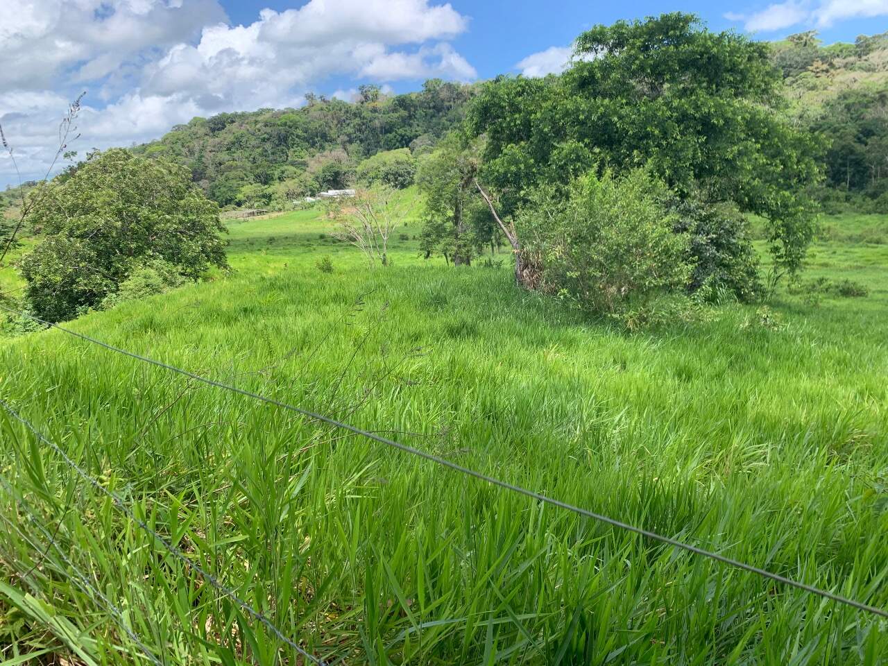 Fazenda à venda com 2 quartos - Foto 18