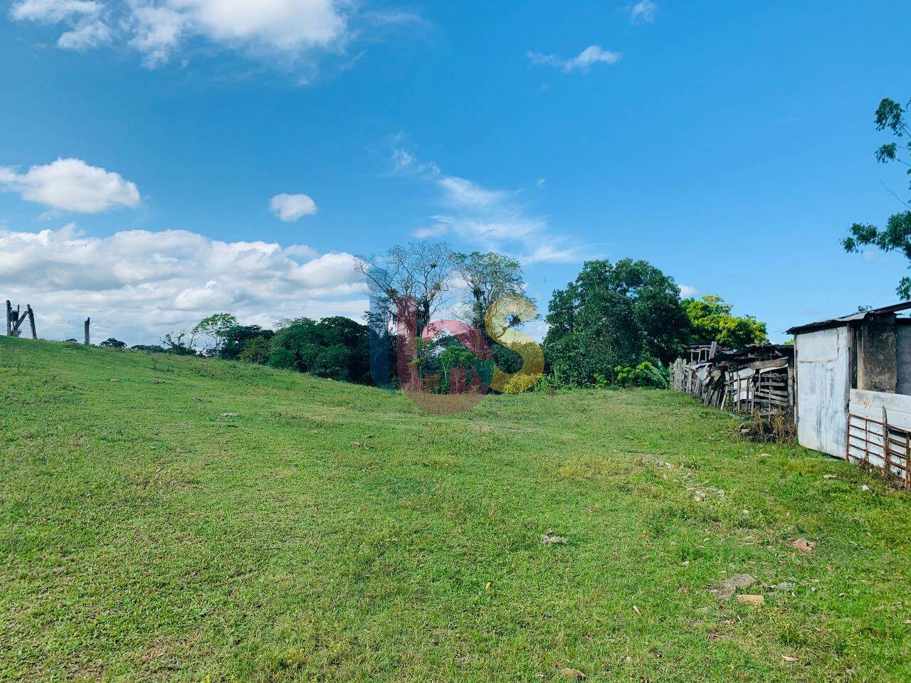 Fazenda à venda com 5 quartos - Foto 5