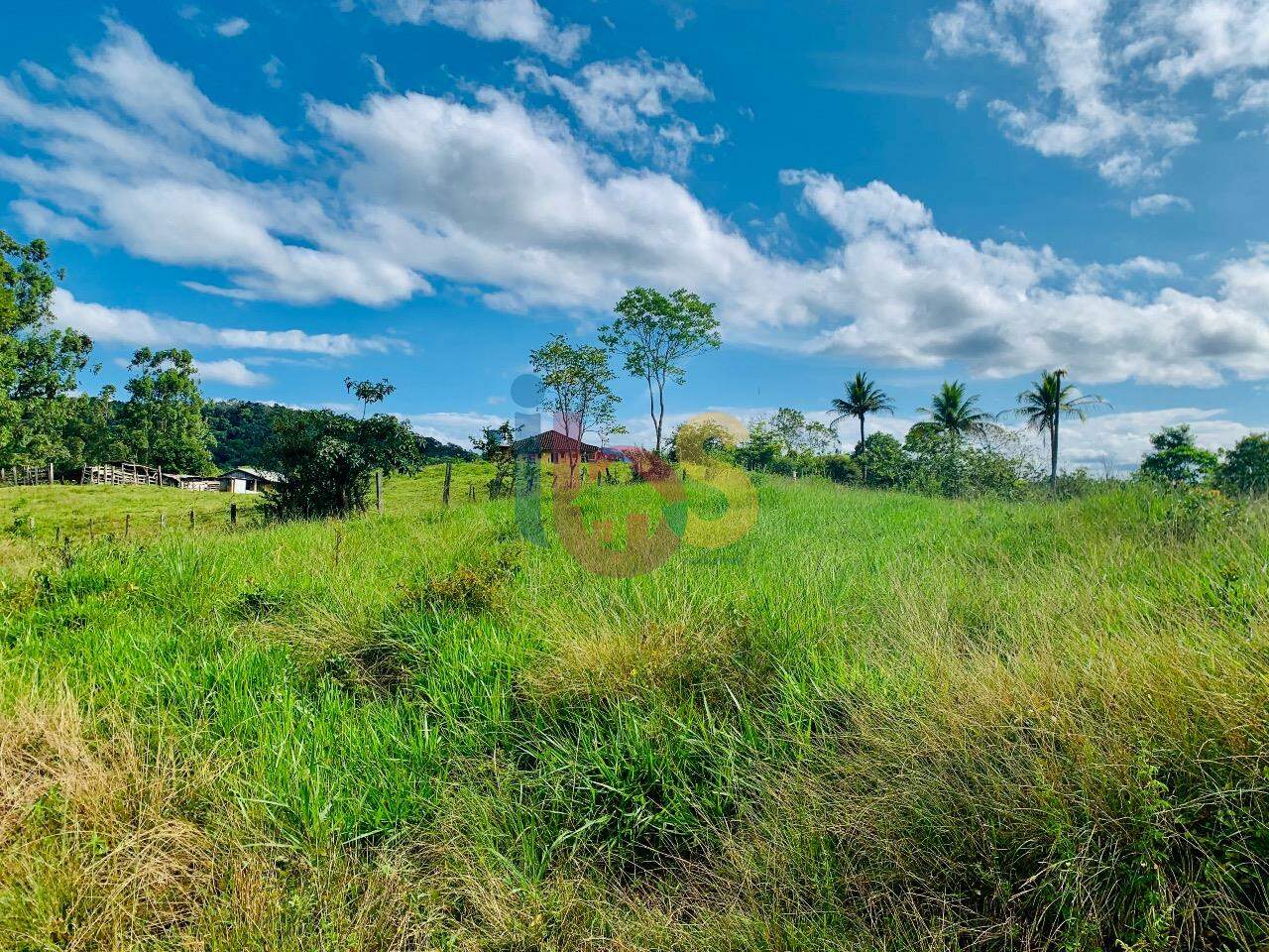 Fazenda à venda com 5 quartos - Foto 14