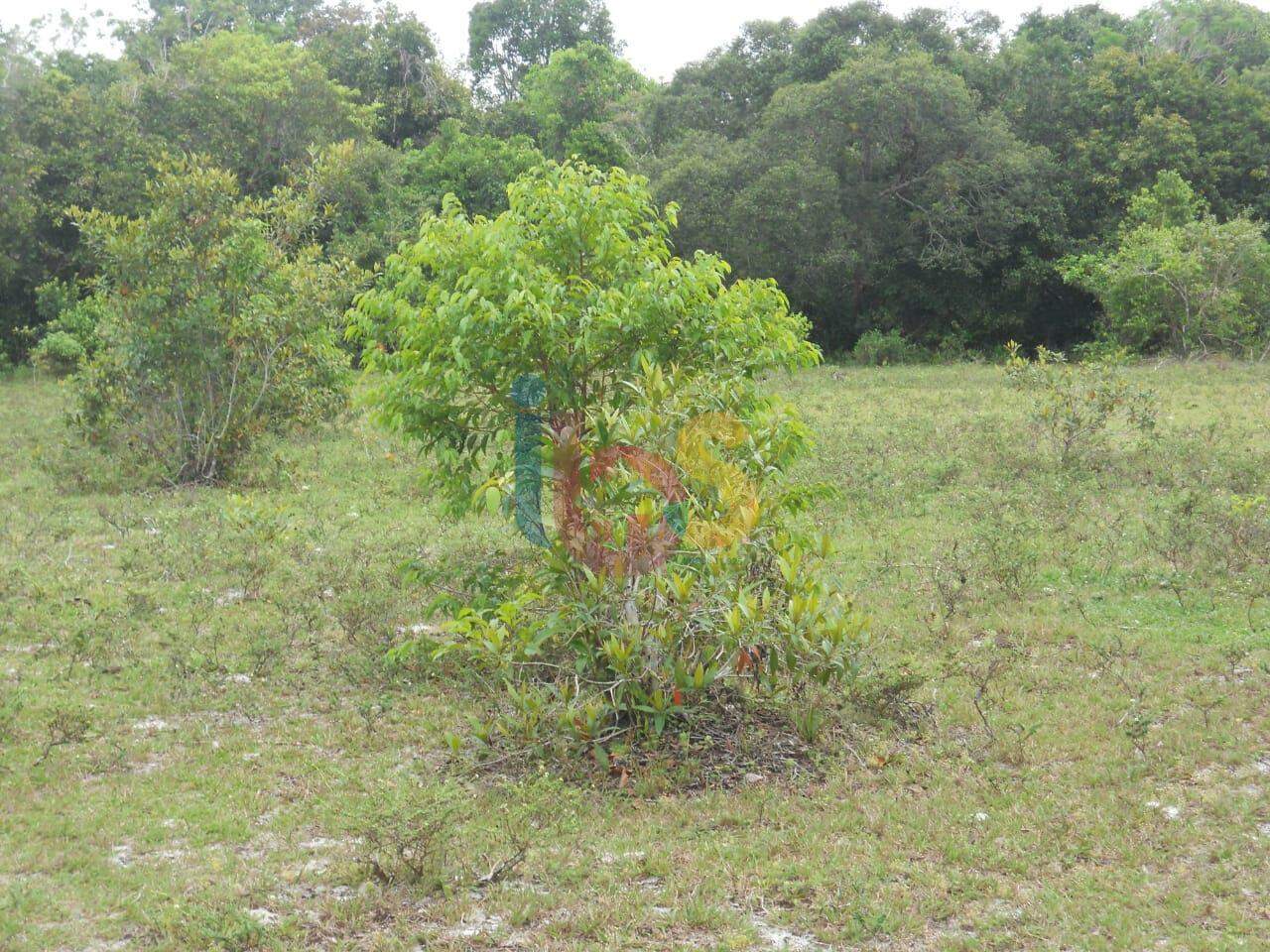 Terreno à venda, 1000m² - Foto 2