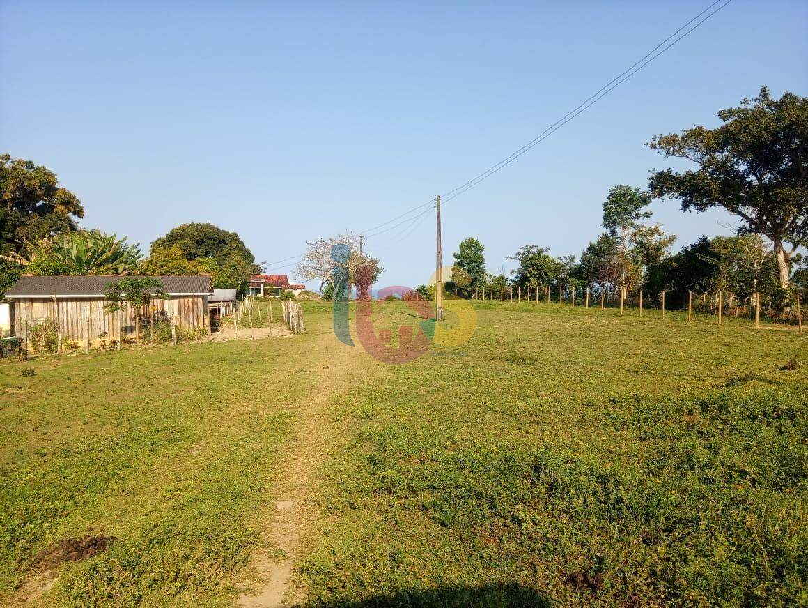 Fazenda à venda com 3 quartos, 24m² - Foto 10