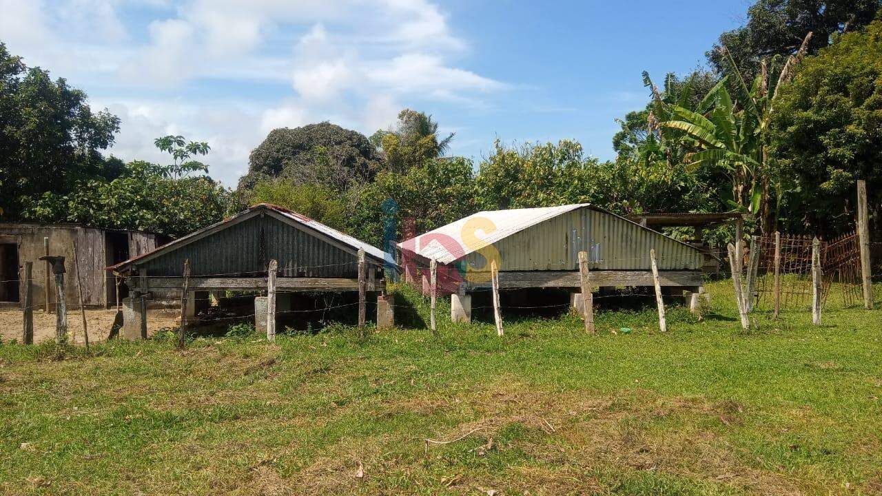 Fazenda à venda com 3 quartos, 24m² - Foto 12