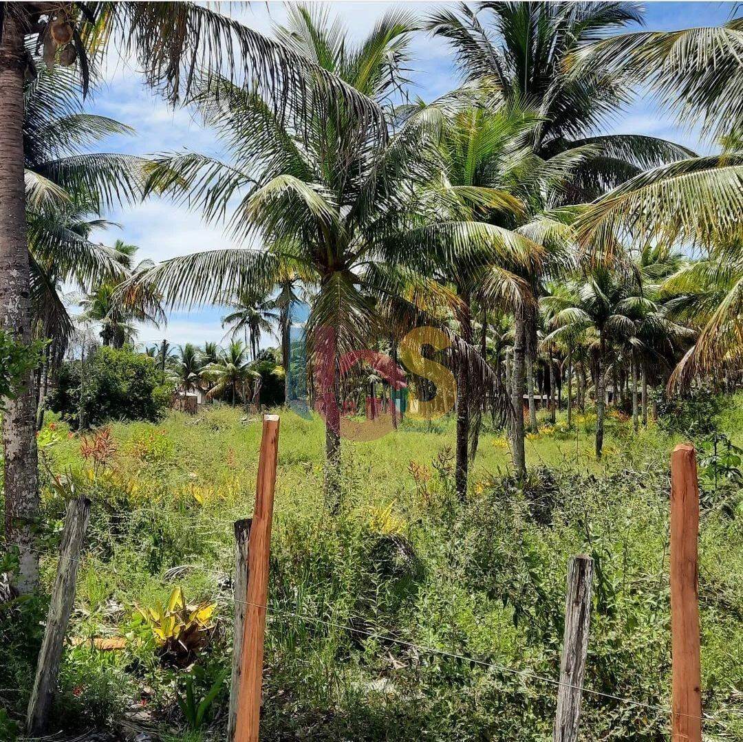 Terreno à venda, 20000m² - Foto 6