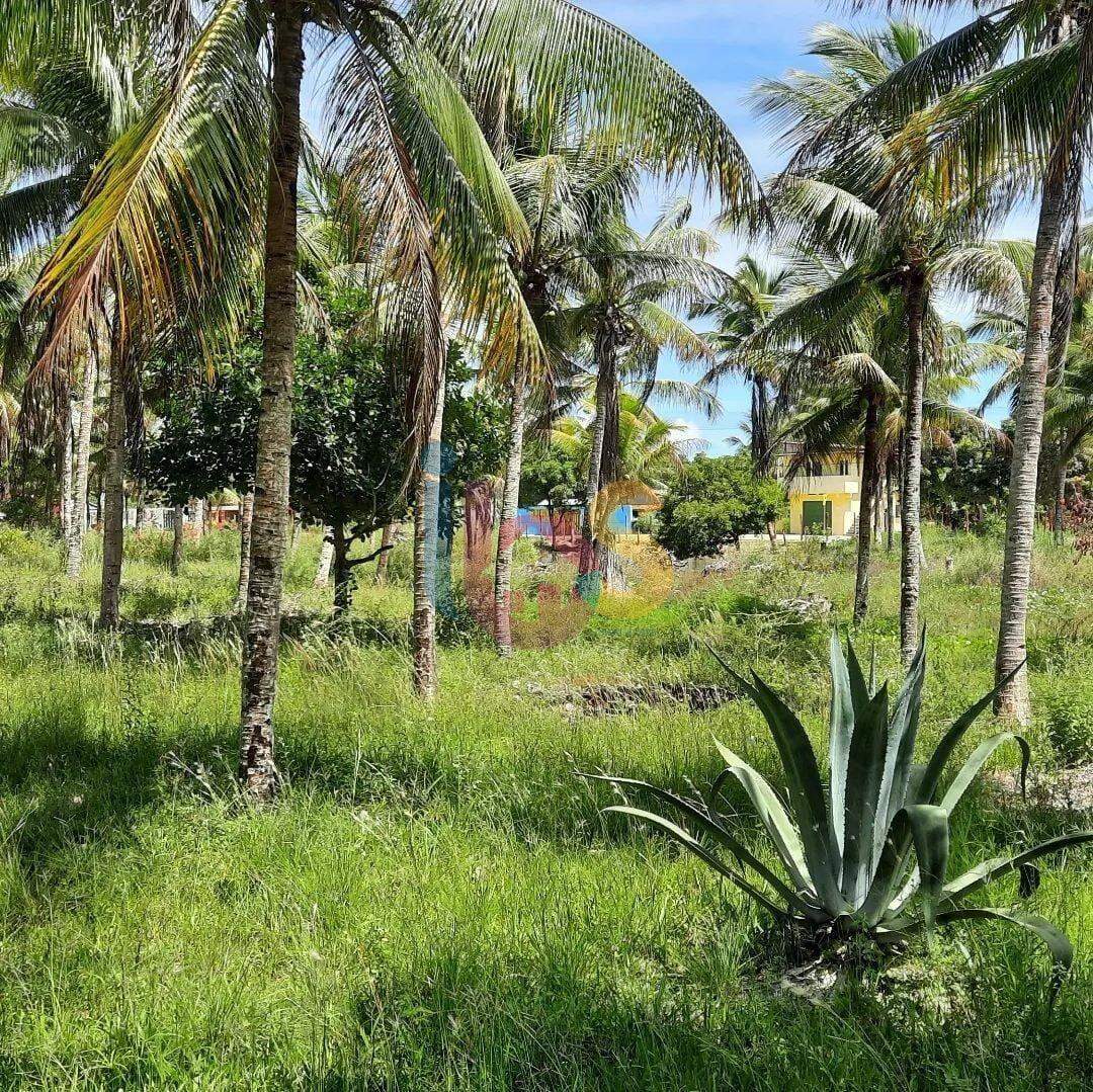 Terreno à venda, 20000m² - Foto 7