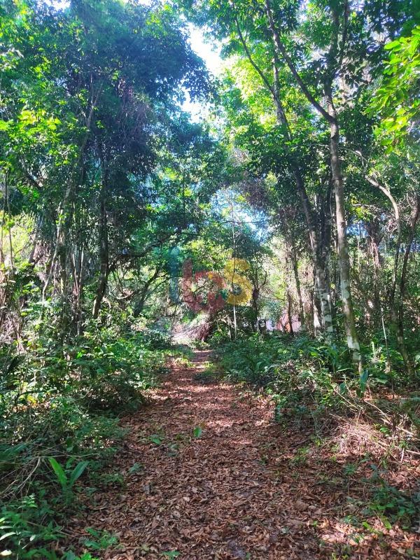 Terreno, 750 m² - Foto 1