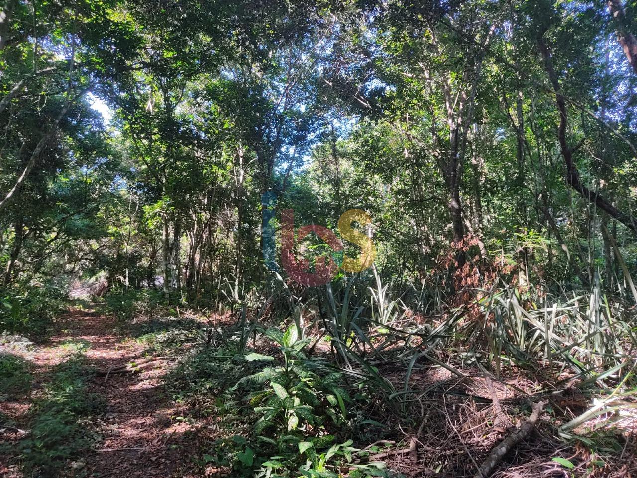 Terreno, 750 m² - Foto 3