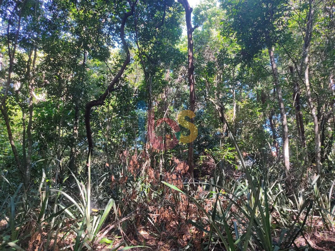 Terreno, 750 m² - Foto 2