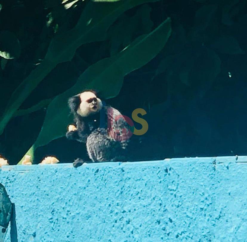 Hotel, 7 quartos - Foto 18