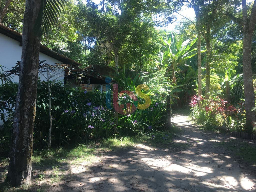 Terreno, 1226 m² - Foto 7